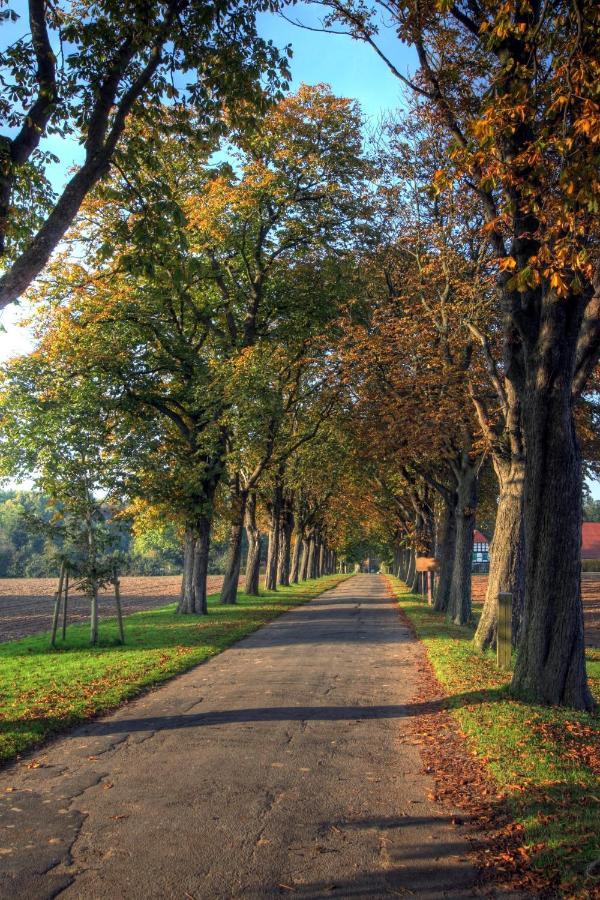Schlosspark Hollwinkel Preußisch Oldendorf Εξωτερικό φωτογραφία